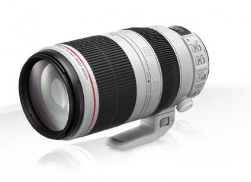 Canon EF 100-400mm F4.5-5.6L IS II USM